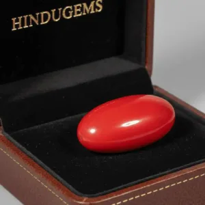 Red Coral Gemstone – Natural Moonga Stone for Strength & Success