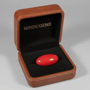 Red Coral Gemstone – Natural Moonga Stone for Strength & Success