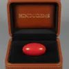 Red Coral Gemstone – Natural Moonga Stone for Strength & Success