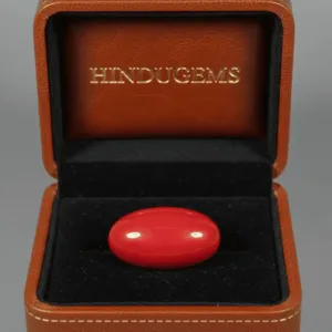 Red Coral Gemstone – Natural Moonga Stone for Strength & Success