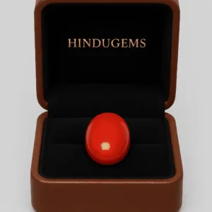 Red Coral Gemstone – Natural Moonga Stone for Strength & Success