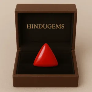 Red Coral Gemstone – Natural Moonga Stone for Strength & Success